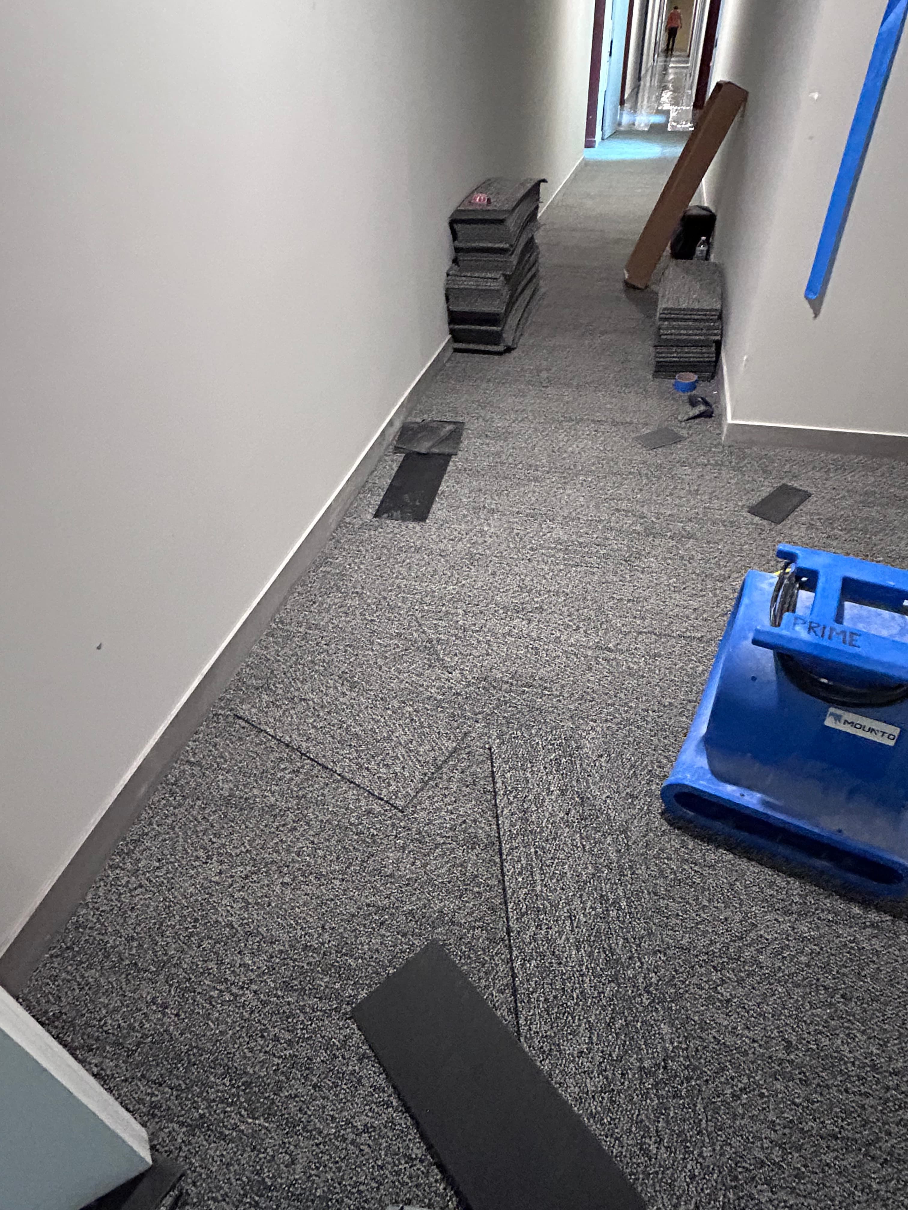 Commercial Carpet by V&B Construction